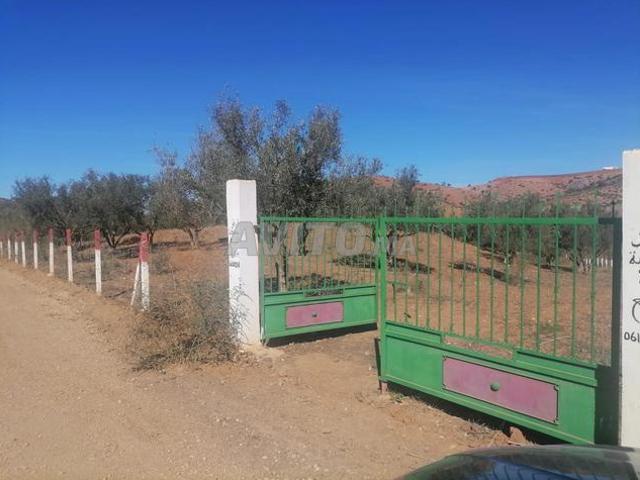 Propriété vente à Meknès