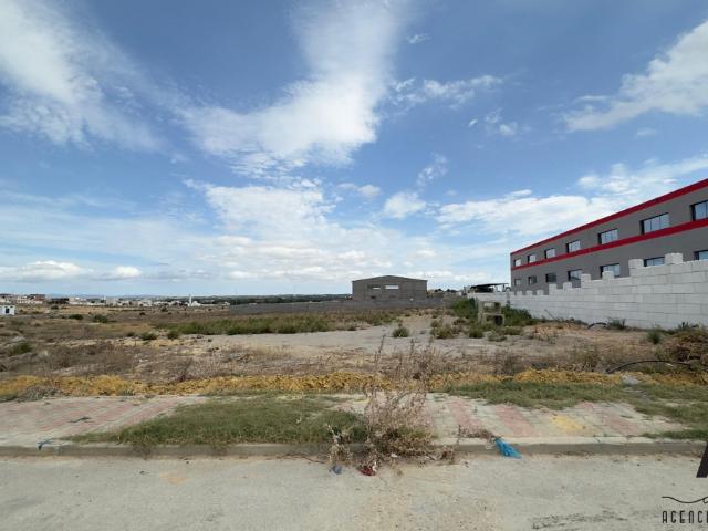 Terrain vente à نابل, معتمدية نابل
