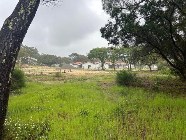 Terrain vente à France métropolitaine, Seignosse