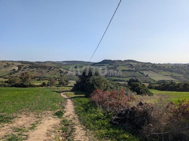 Propriété vente à Assilah, Tanger-Tétouan