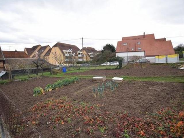 Terrain vente à Sélestat-Erstein, Châtenois