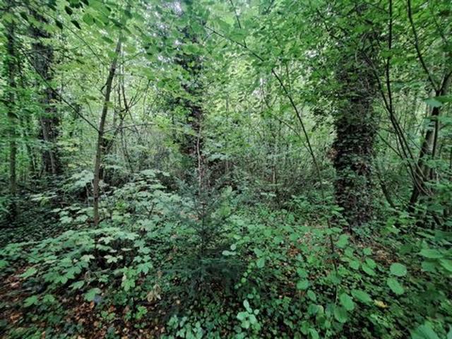 Terrain vente à Arras, Auxi-le-château