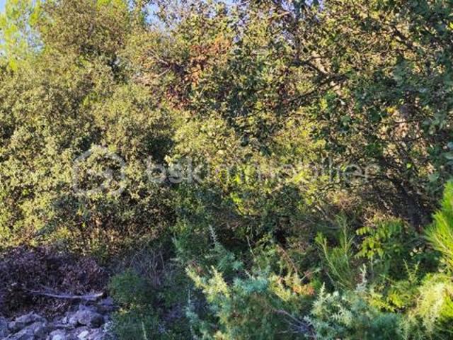 Maison vente à Nîmes, Milhaud