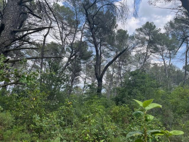 Terrain vente à France métropolitaine, Fuveau