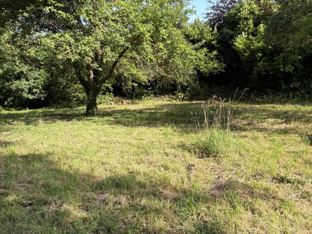Terrain vente à Mayenne, Chantrigné
