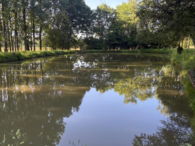 Terrain vente à Mayenne, Oisseau