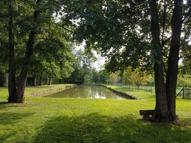 Terrain vente à Nogent-le-Rotrou, Argenvilliers