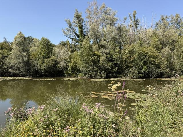 Terrain vente à Amiens, Hauts-de-France