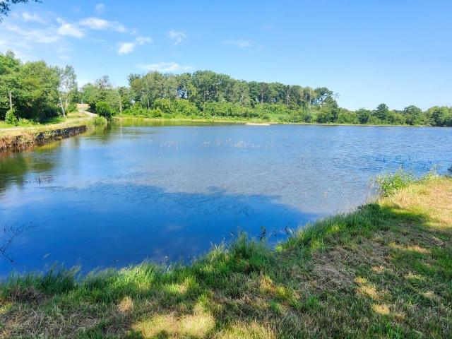 Terrain vente à Louhans-Châteaurenaud, Branges