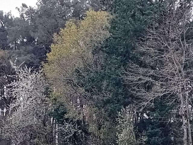 Terrain vente à Vannes, Bretagne