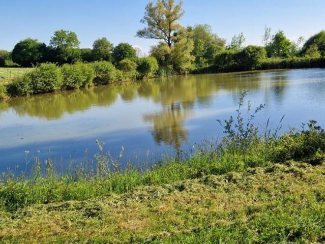 Terrain vente à Laval, Entrammes