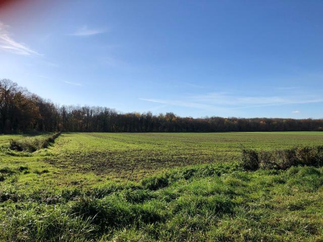 Terrain vente à Chalon-sur-Saône, Farges-lès-chalon