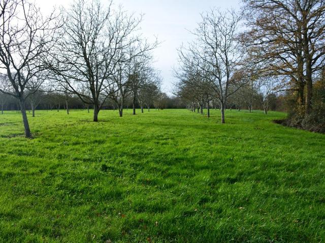 Terrain vente à Château-Gontier, Grez-en-bouère