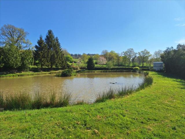 Terrain vente à Mayenne, Juvigné