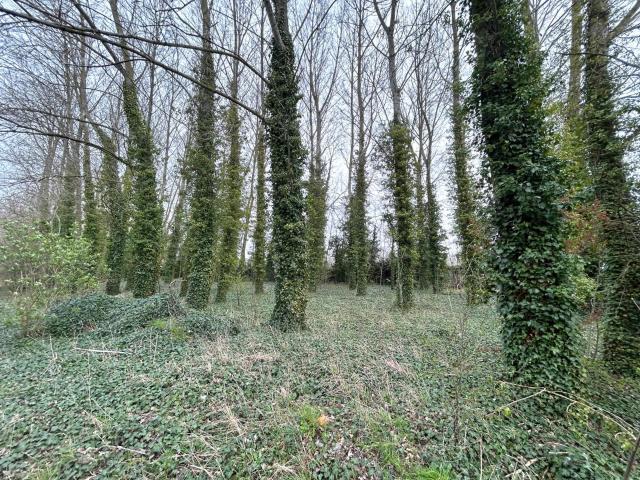 Terrain vente à Dunkerque, Looberghe