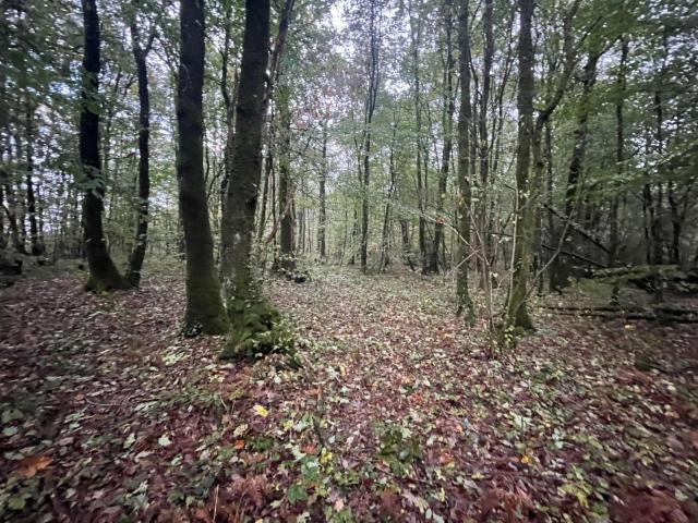 Terrain vente à Marcillé-la-Ville, Mayenne
