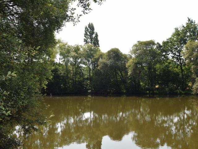 Terrain vente à Mayenne, Martigné-sur-mayenne