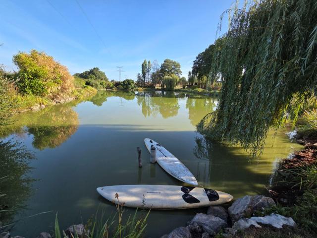 Terrain vente à Mayenne, Martigné-sur-mayenne