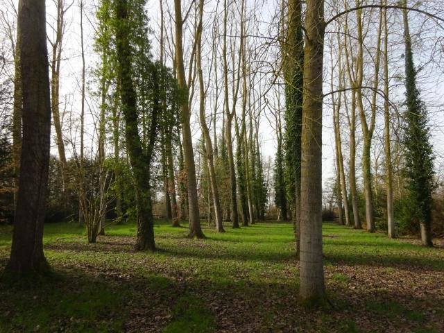 Terrain vente à Nogent-le-Rotrou, Nogent-le-rotrou