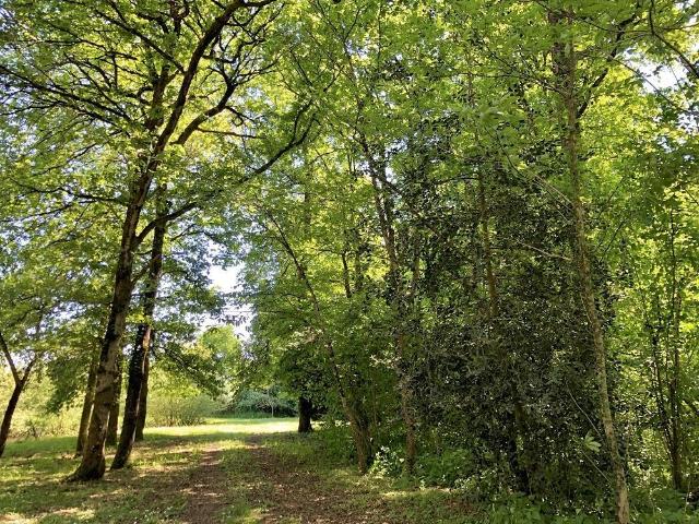 Terrain vente à La Flèche, Parcé-sur-sarthe
