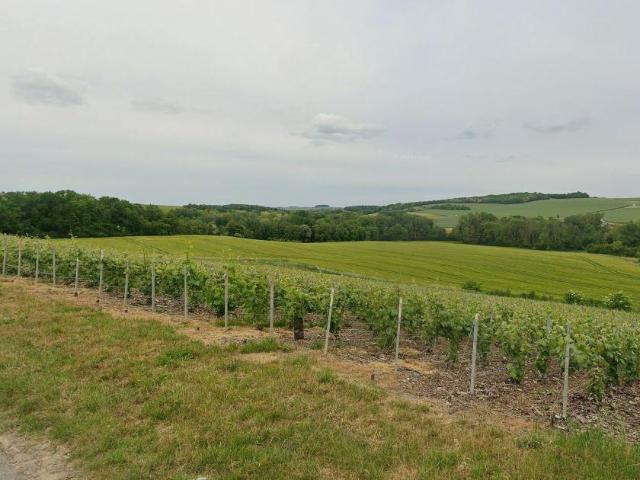 Terrain vente à Épernay, Passy-grigny
