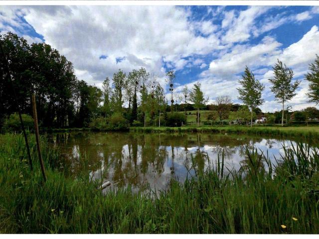 Terrain vente à Montreuil-sur-Mer, Raye-sur-authie