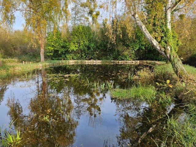 Terrain vente à La Flèche, Requeil