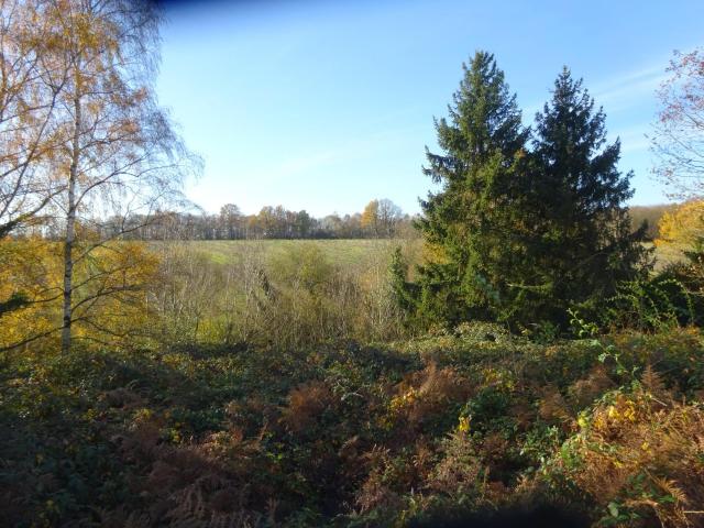 Terrain vente à Nogent-le-Rotrou, Centre-Val de Loire