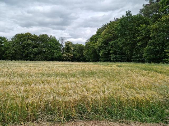 Terrain vente à Pontivy, Bretagne
