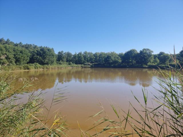 Terrain vente à Romorantin-Lanthenay, Veilleins