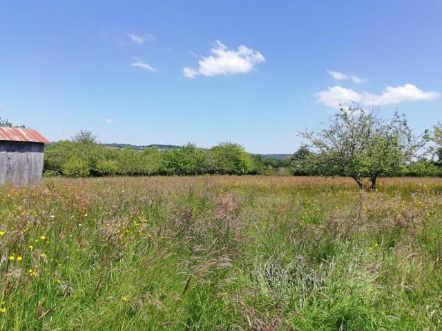 Terrain vente à Mayenne, Villaines-la-juhel