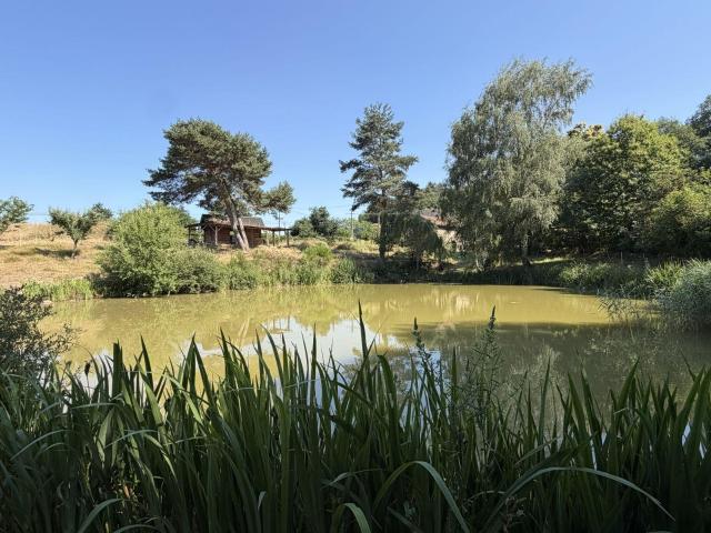 Terrain vente à Sarlat-la-Canéda, Vitrac