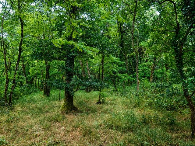 Terrain vente à Romorantin-Lanthenay, Selles-sur-cher