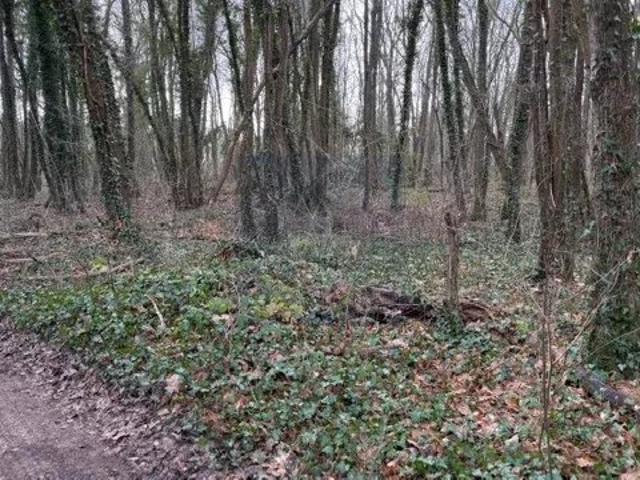 Terrain vente à Fontainebleau, Bois-le-roi