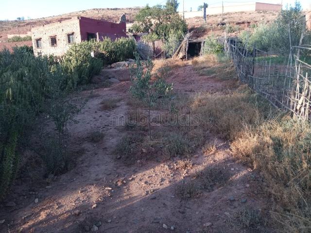 Terrain vente à Al Haouz, L'Oriental