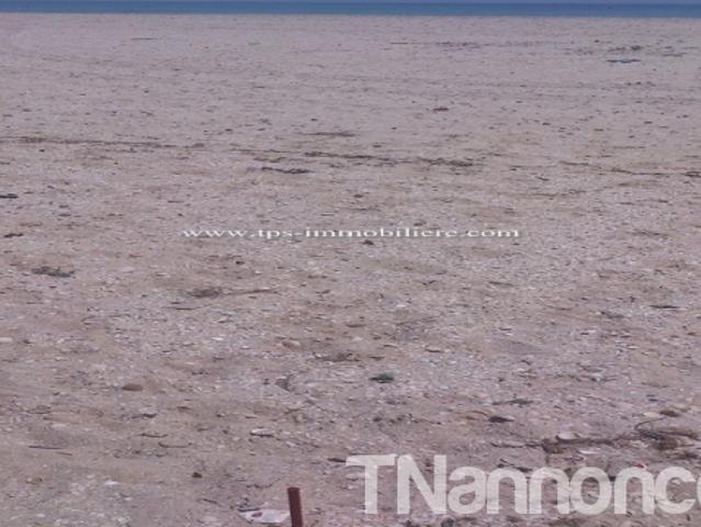 Terrain location