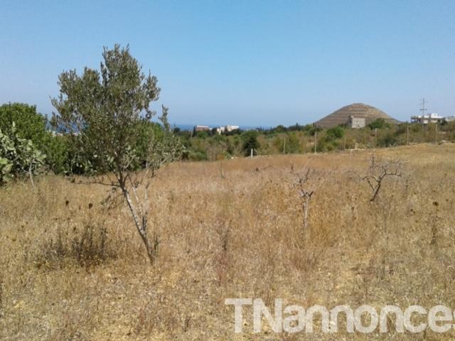 Terrain location