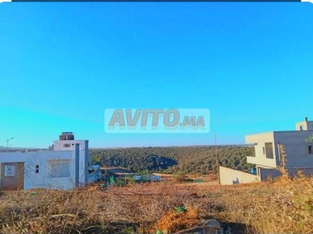 Propriété vente à Tamesna