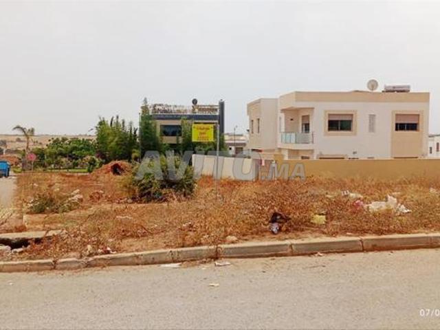 Propriété vente à Tamesna