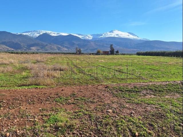 Ferme vente à Mellal