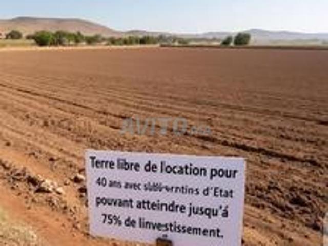 Propriété location à Fès