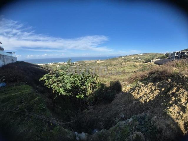 Propriété vente à Tanger طنجة, Préfecture de Tanger-Assilah عمالة طنجة-أصيلة