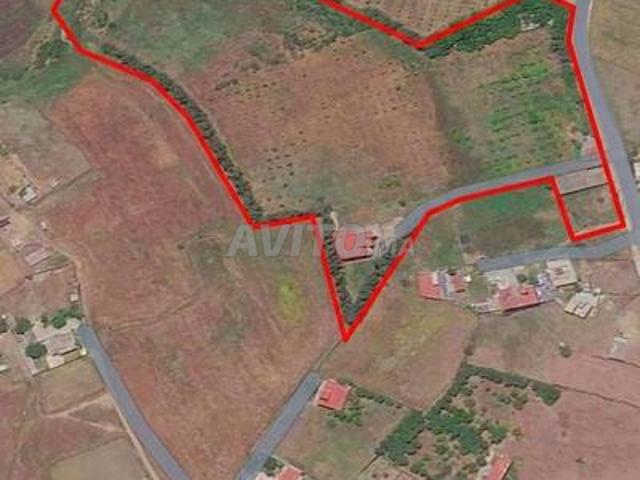 Propriété vente à Larache, Tanger-Tétouan
