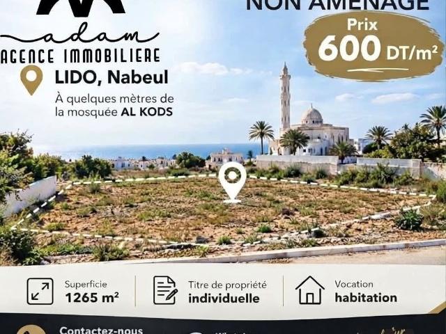 Terrain vente à نابل, معتمدية نابل