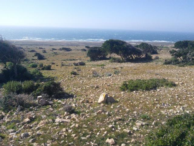 Terrain vente à Tamri, Oued ed Dahab-Lagouira