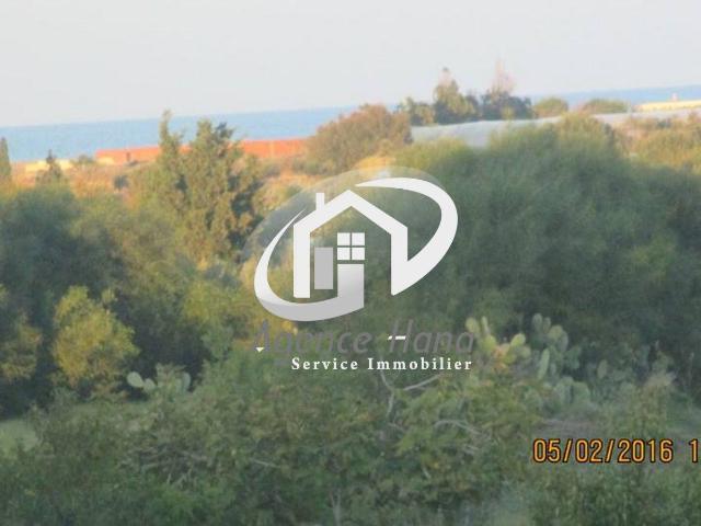 Terrain vente à Mahdia Hiboun, Beja Nord