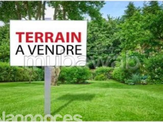 Terrain vente