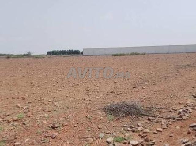 Propriété vente à Al Haouz, L'Oriental