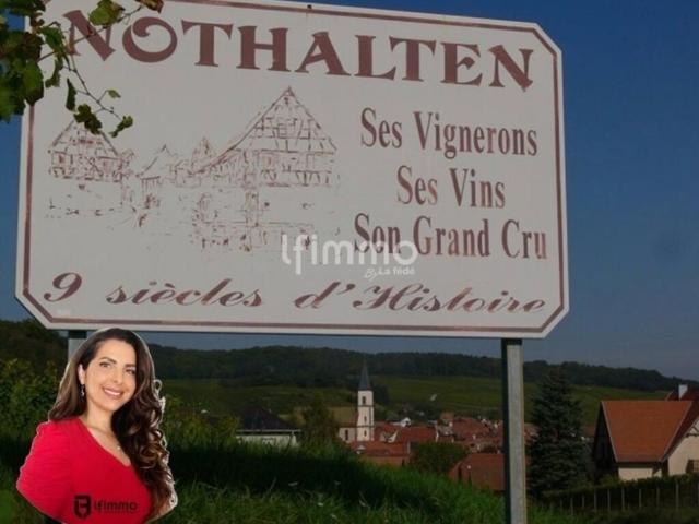 Terrain vente à Sélestat-Erstein, Nothalten