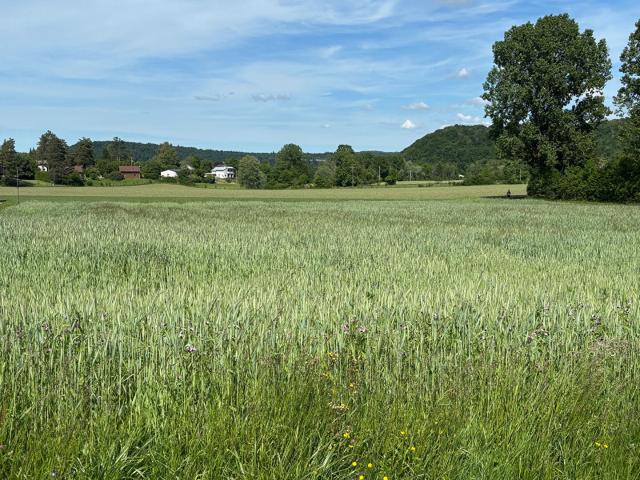 Terrain vente à Lons-le-Saunier, Doucier